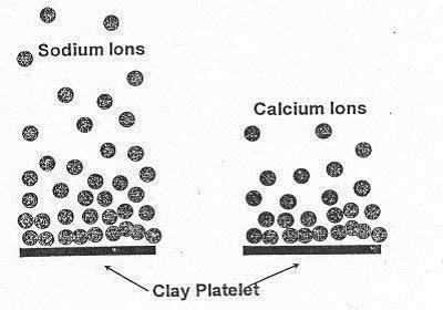 sodium and calcium attached to clay particles