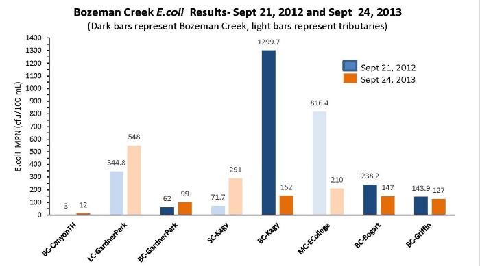 2012 and 2013 results