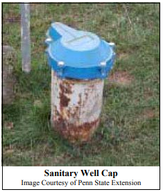 Sanitary well cap