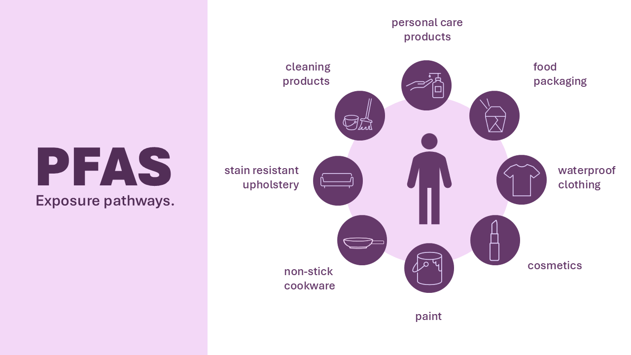 PFAS Exposure Pathways Graphic Graphic depicting common exposure pathways, such as food packaging, personal care products, non-stick cookware etc.