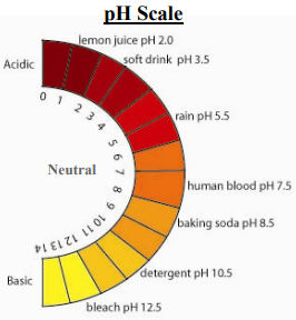 pH Scale from acidic (top) to basic (bottom)