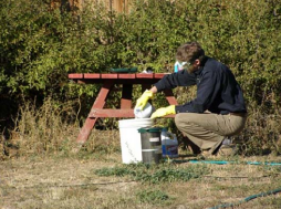 Shock chlorination of a well