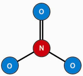 Nitrate molecule